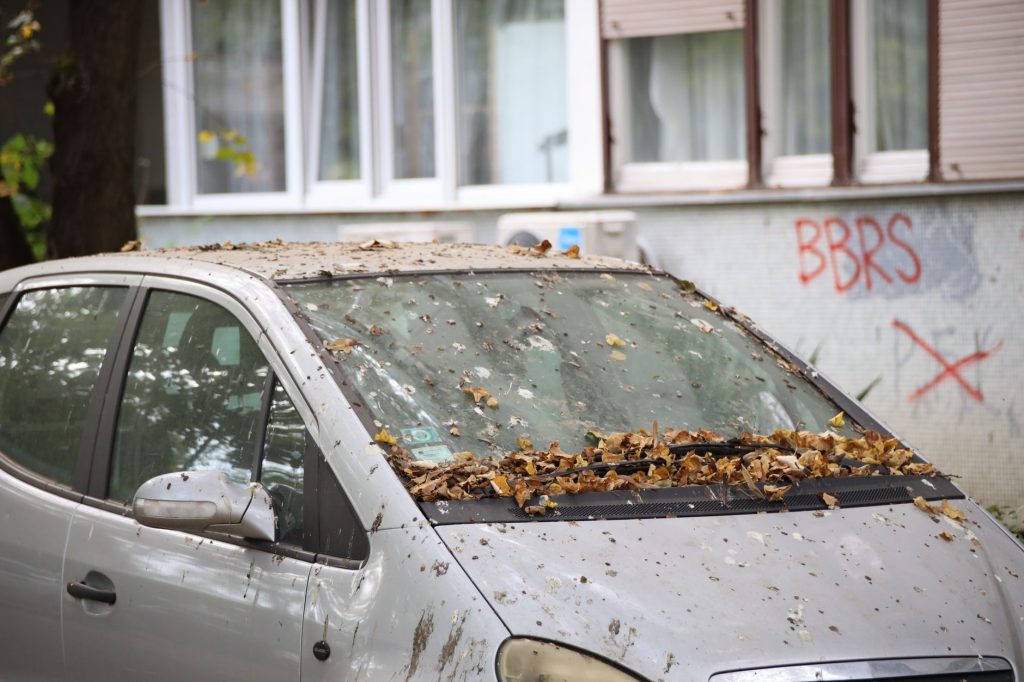 Usuwanie ptasich odchodów na myjni: jak nie zmatowić lakieru?