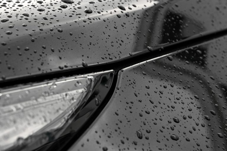 Usuwanie ptasich odchodów na myjni: jak nie zmatowić lakieru?